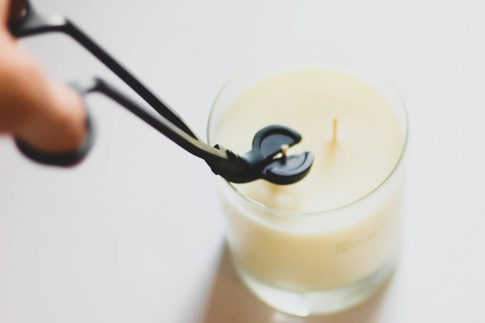 Candle Care 101: Unveiling the Secrets to Maximise Your Sachi Experience
