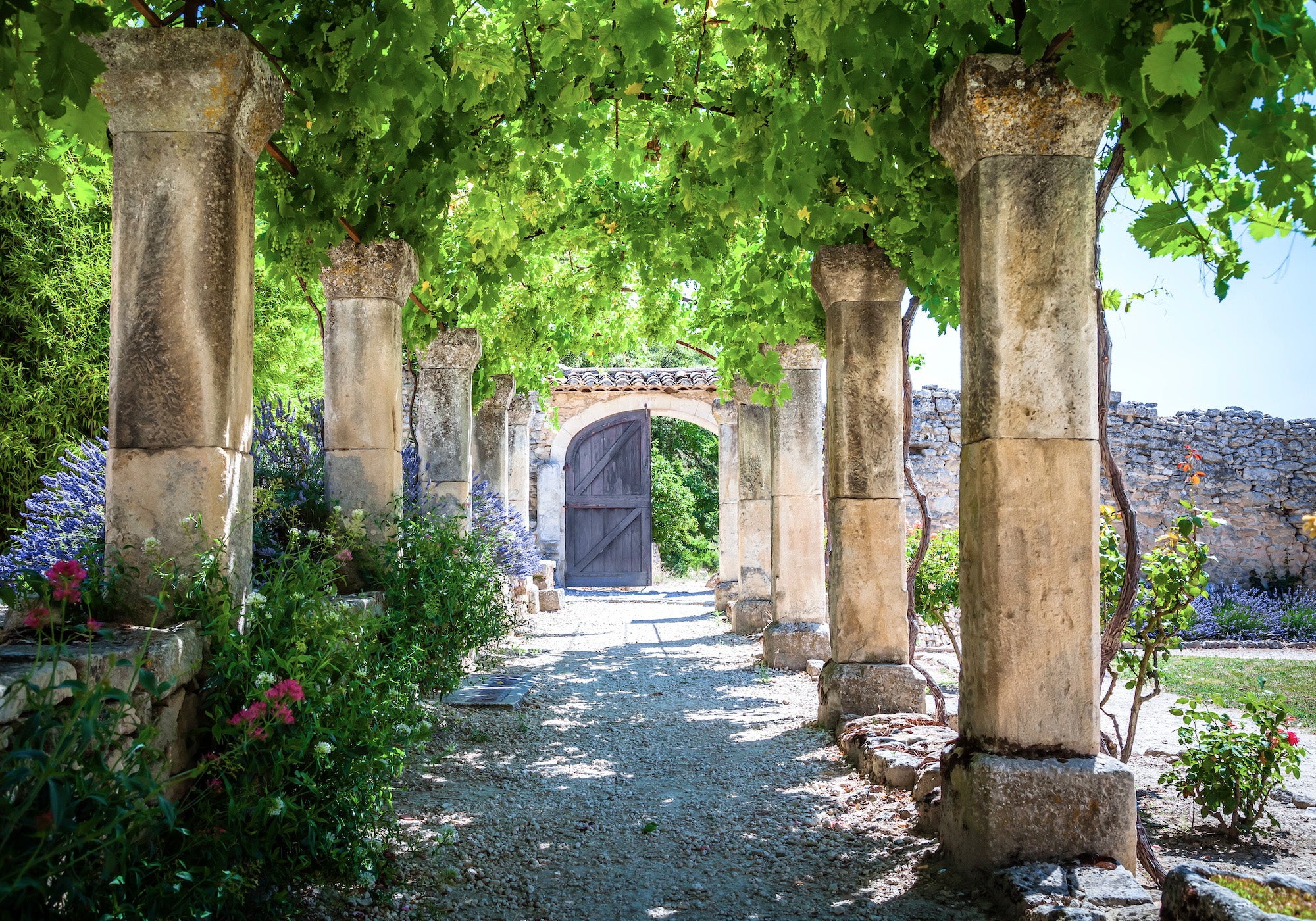 Inspiration image of walled lavender garden in Provence.
