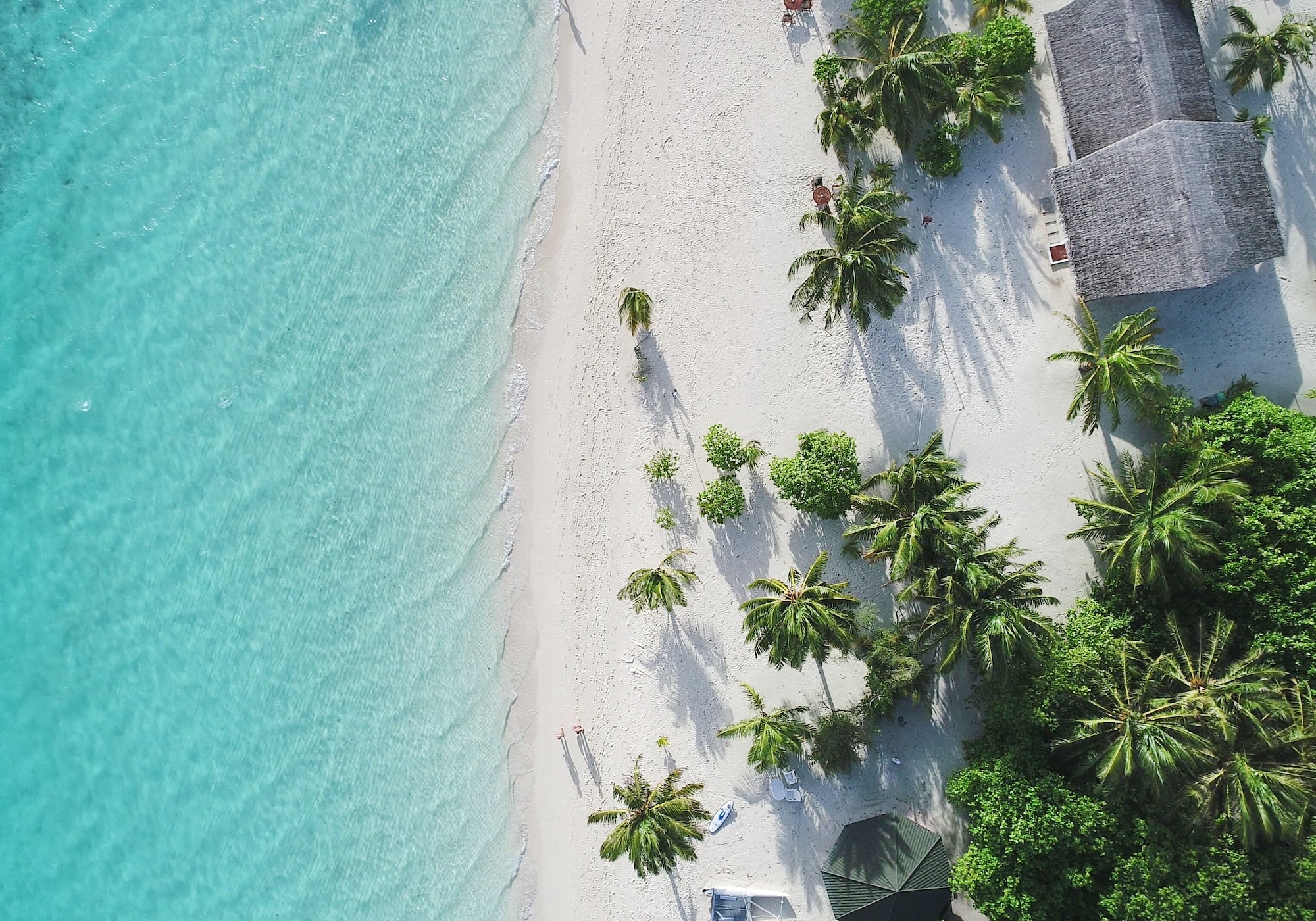 An aerial shot of the Seychelles beach, water and palm trees.